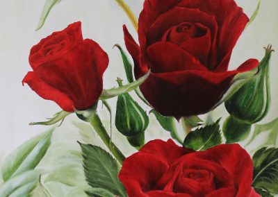 Red Roses